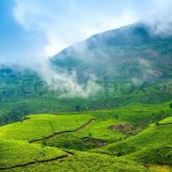 Picturesque Kerala 4N/5D